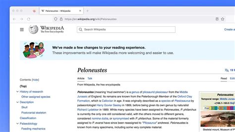 New Wiki .